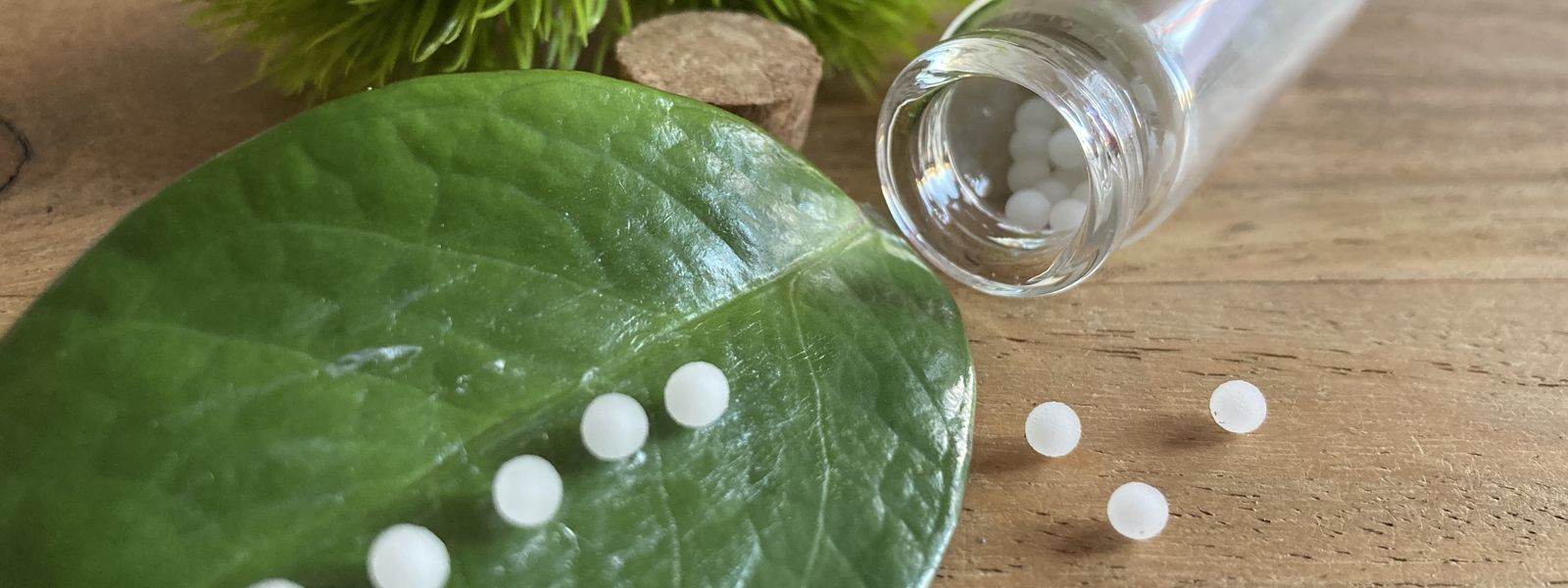 Homöopathische Globuli auf einem Blatt