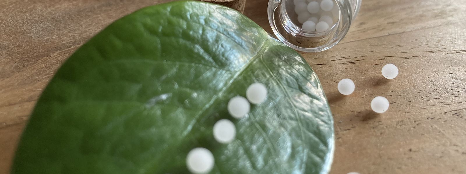 Homöopathische Globuli auf einem Blatt
